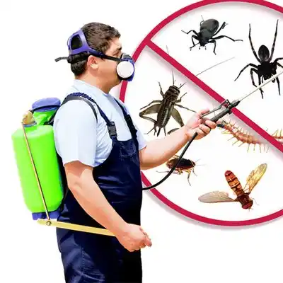 pest control Jefferson Valley-Yorktown